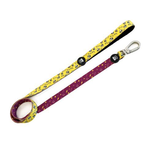 Dukier Skulls correa para perros con calaveras Imagem n&uacute;mero 1