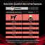 Pro Plan Veterinary Diets DM Diabetic ração para cães, , large Indicador imagem número 5