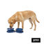 Gotoo Comedouro Port&aacute;til Duplo em Silicone Azul para c&atilde;es, , large Indicador imagem n&uacute;mero 7
