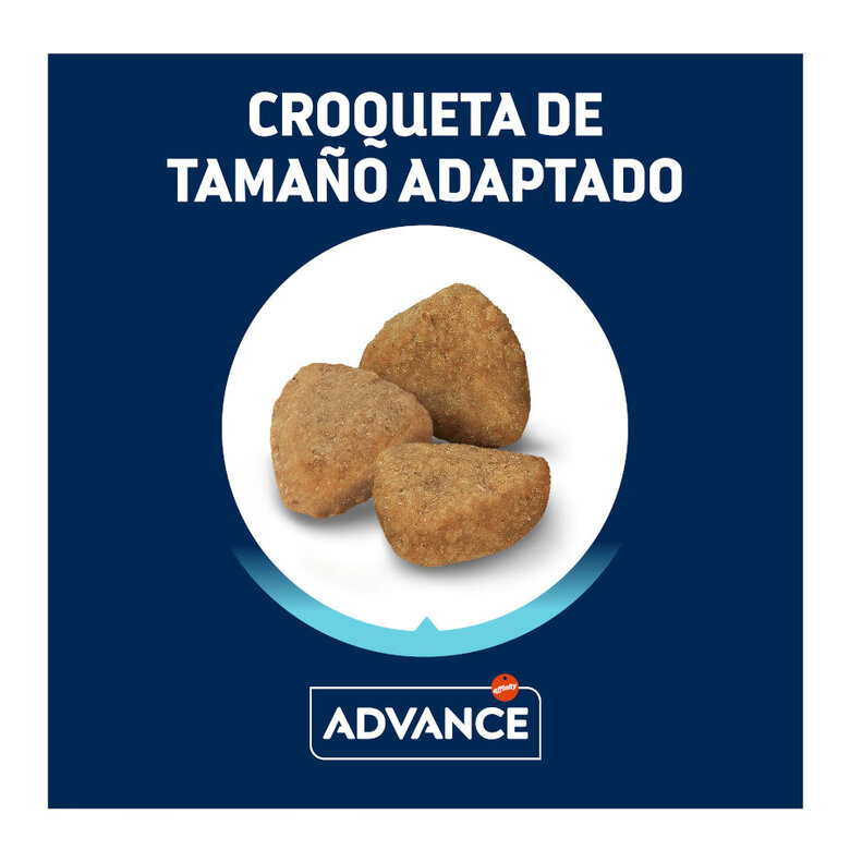 1.5 kg Advance Active Defense Sterilized +10 frango e cevada ração para gatos,  Imagem número 3 1.5 kg Advance Active Defense Sterilized +10 frango e cevada ração para gatos, , large Imagem número 3