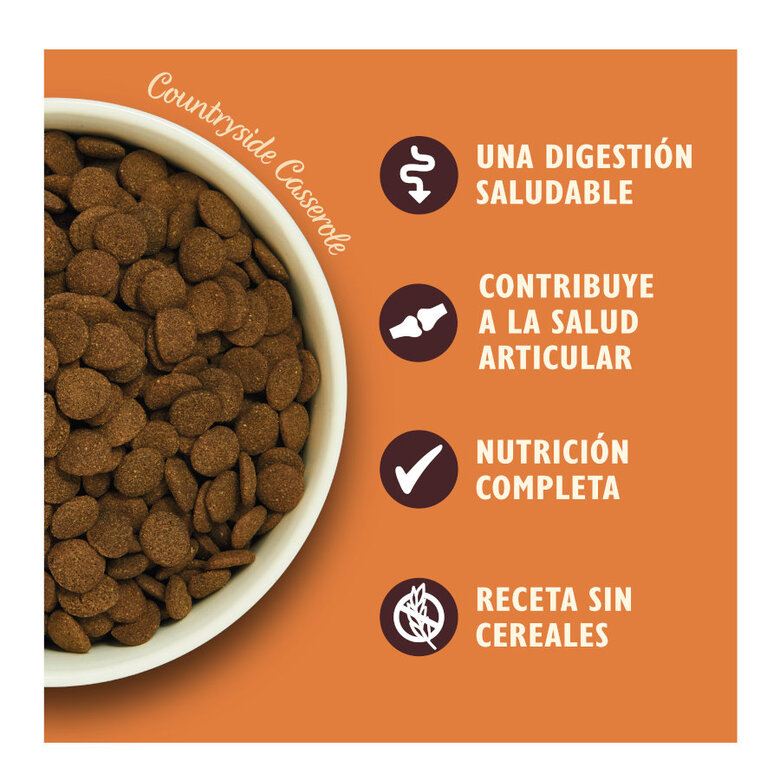 2.5 kg Lily's Kitchen Adult Frango e Pato ração para cães,  Imagem número 3 2.5 kg Lily's Kitchen Adult Frango e Pato ração para cães, , large Imagem número 3