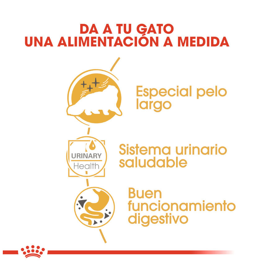 85 g Royal Canin Feline Adult Persa, , large Imagem n&uacute;mero 5