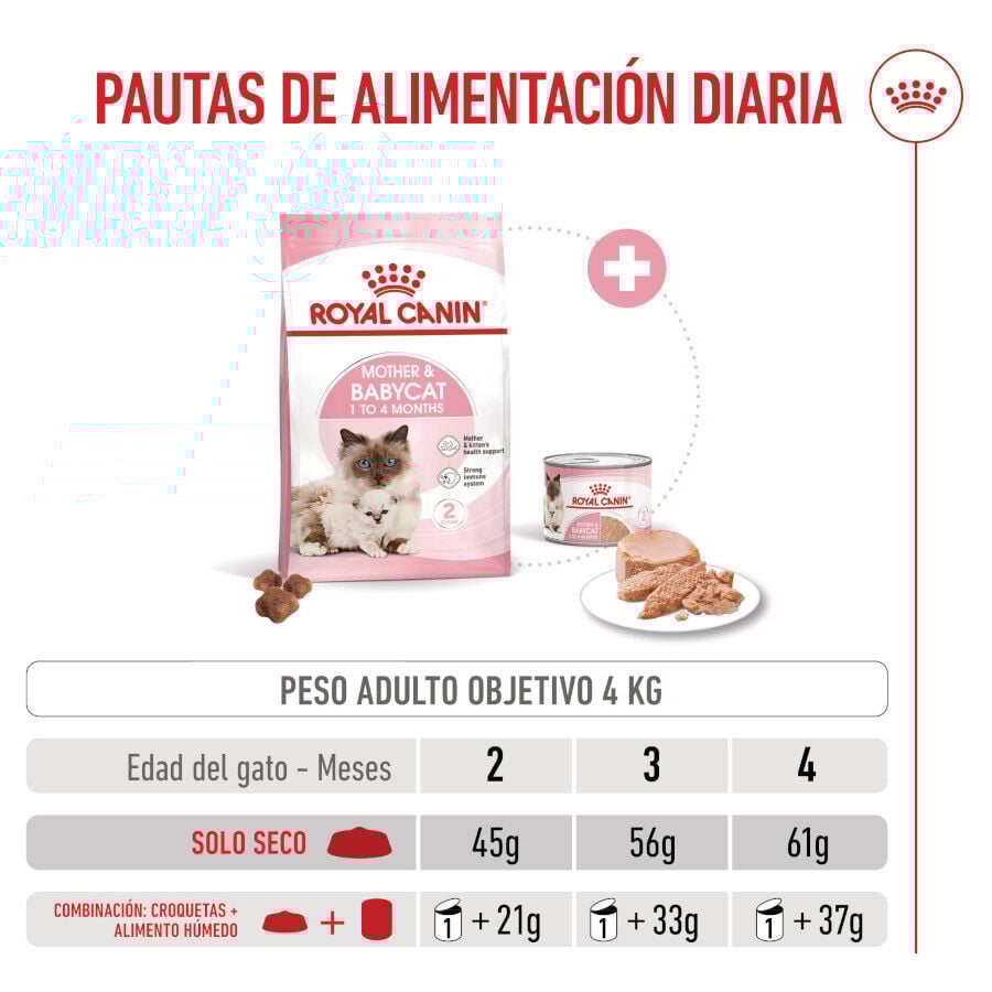 10 kg Royal Canin Mother & Baby ra&ccedil;&atilde;o para gatos, , large Imagem n&uacute;mero 8