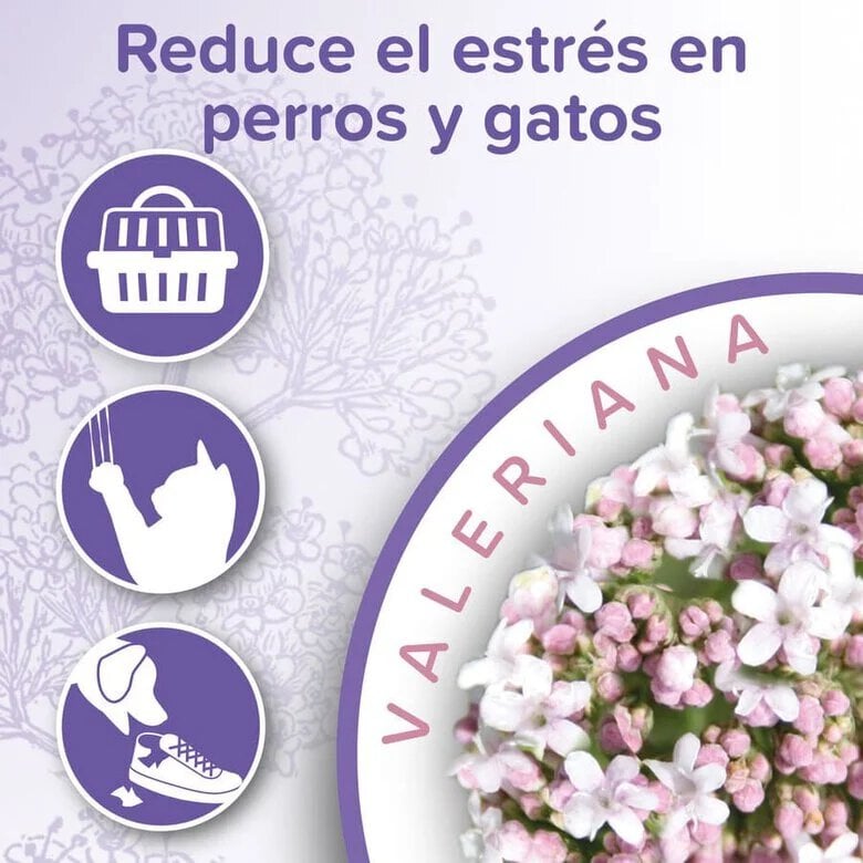 Beaphar Calming spray relaxante para gatos,  Imagem número 3 Beaphar Calming spray relaxante para gatos, , large Imagem número 3