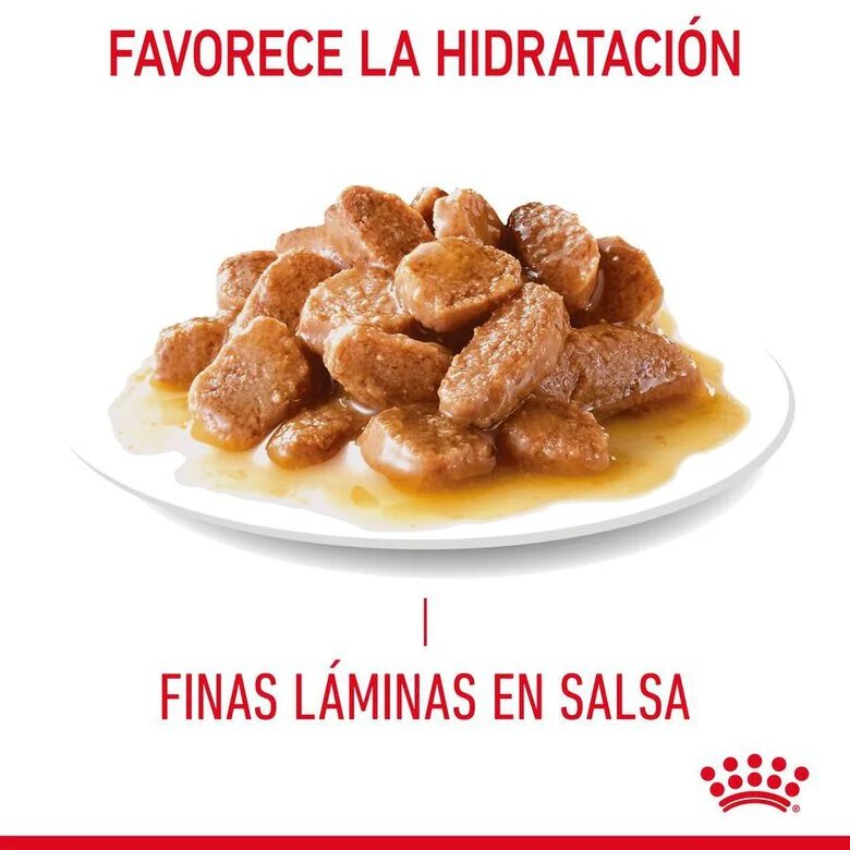 85 g Royal Canin Hairball alimento húmido em molho saquetas para gatos,  Imagem número 3 85 g Royal Canin Hairball alimento húmido em molho saquetas para gatos, , large Imagem número 3