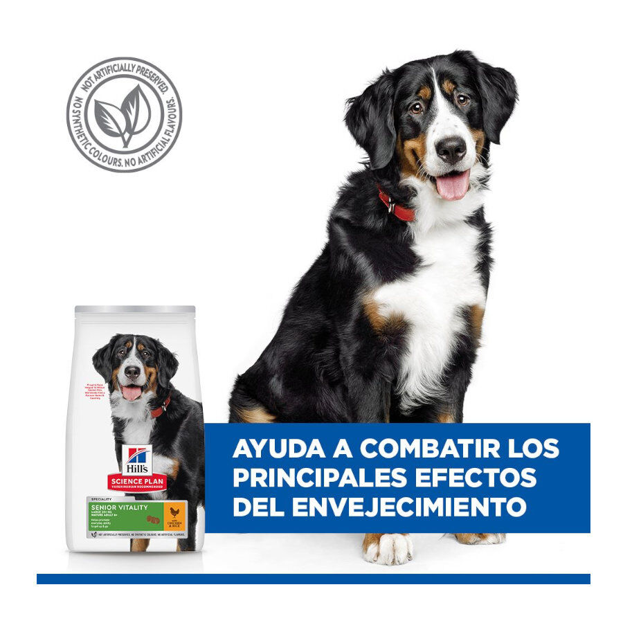 14 kg Hill's Science Plan Large Mature Adult YouthFul Vitality Frango ra&ccedil;&atilde;o para c&atilde;es, , large Imagem n&uacute;mero 6