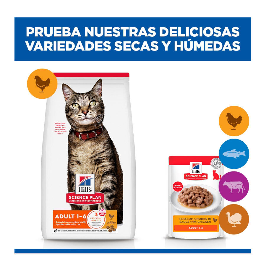 85 g Hill's Science Plan Adult Frango saqueta para gatos, , large Imagem n&uacute;mero 10