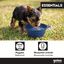 Gotoo Comedouro Dobr&aacute;vel e Port&aacute;til em Silicone Azul para c&atilde;es e gatos, , large Indicador imagem n&uacute;mero 5