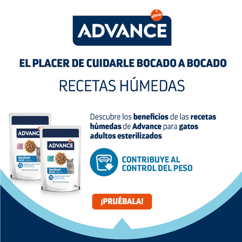 12 saquetas x 85 g (9 + 3 gratis!) Advance Adult Sterilized Peru Saqueta em Molho para gatos,  Imagem número 4 12 saquetas x 85 g (9 + 3 gratis!) Advance Adult Sterilized Peru Saqueta em Molho para gatos, , large Imagem número 4