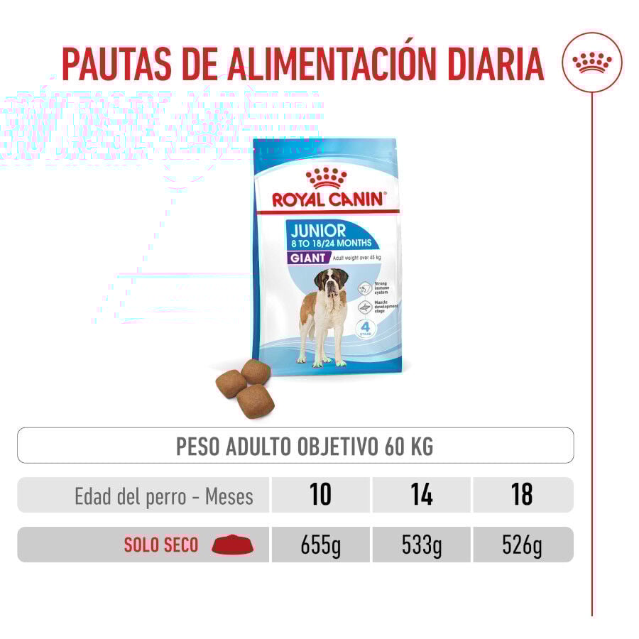 15 kg Royal Canin Junior Giant ra&ccedil;&atilde;o para c&atilde;es, , large Imagem n&uacute;mero 7