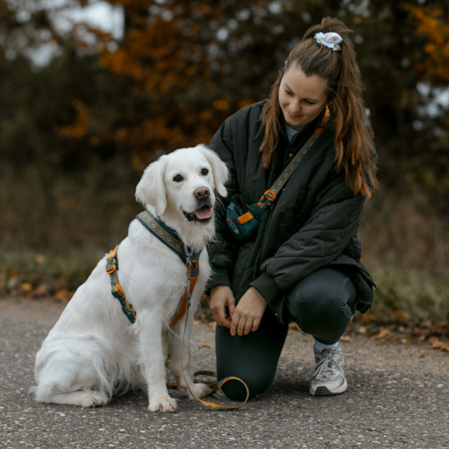 Non-stop Dogwear Peitoral Turquesa e Carvalho para c&atilde;es, , large Imagem n&uacute;mero 2