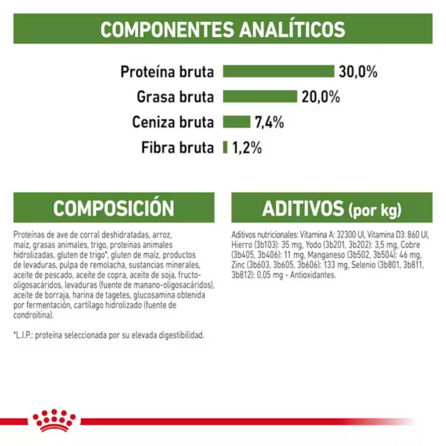 10 kg Royal Canin Active Life Outdoor Ra&ccedil;&atilde;o para gatos, , large Imagem n&uacute;mero 5