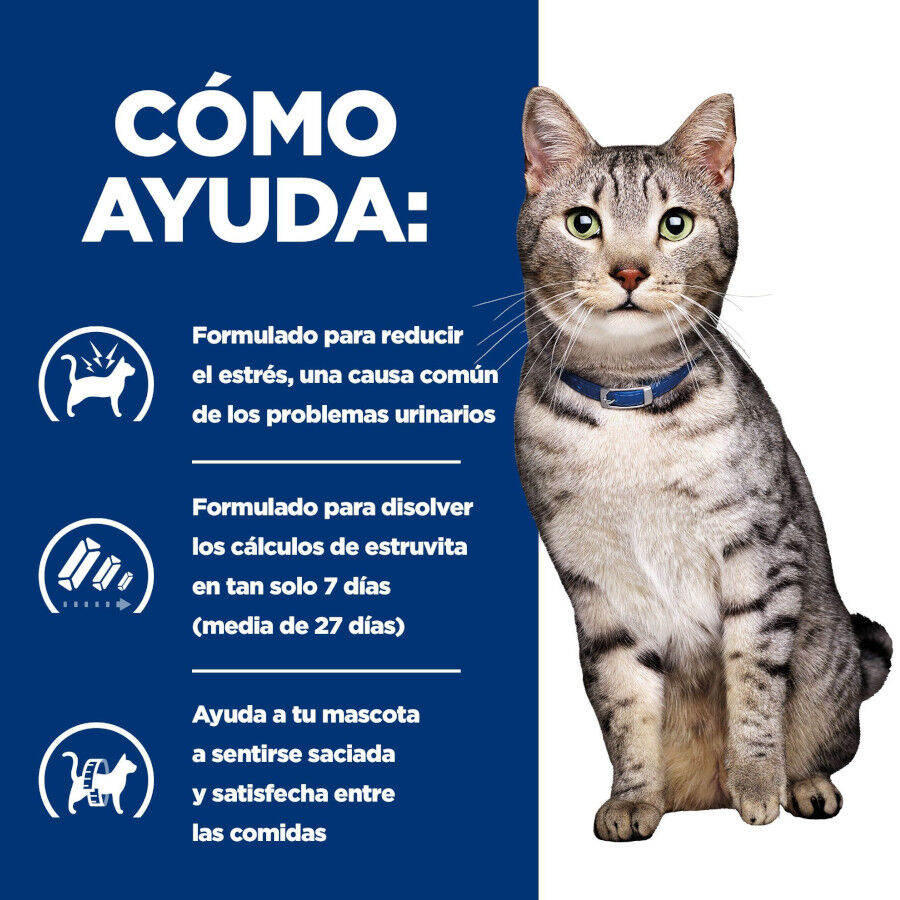 8 kg Hill's Prescription Diet c/d Multicare Stress + Metabolic ra&ccedil;&atilde;o para gatos, , large Imagem n&uacute;mero 4