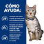 8 kg Hill's Prescription Diet c/d Multicare Stress + Metabolic ra&ccedil;&atilde;o para gatos, , large Indicador imagem n&uacute;mero 4