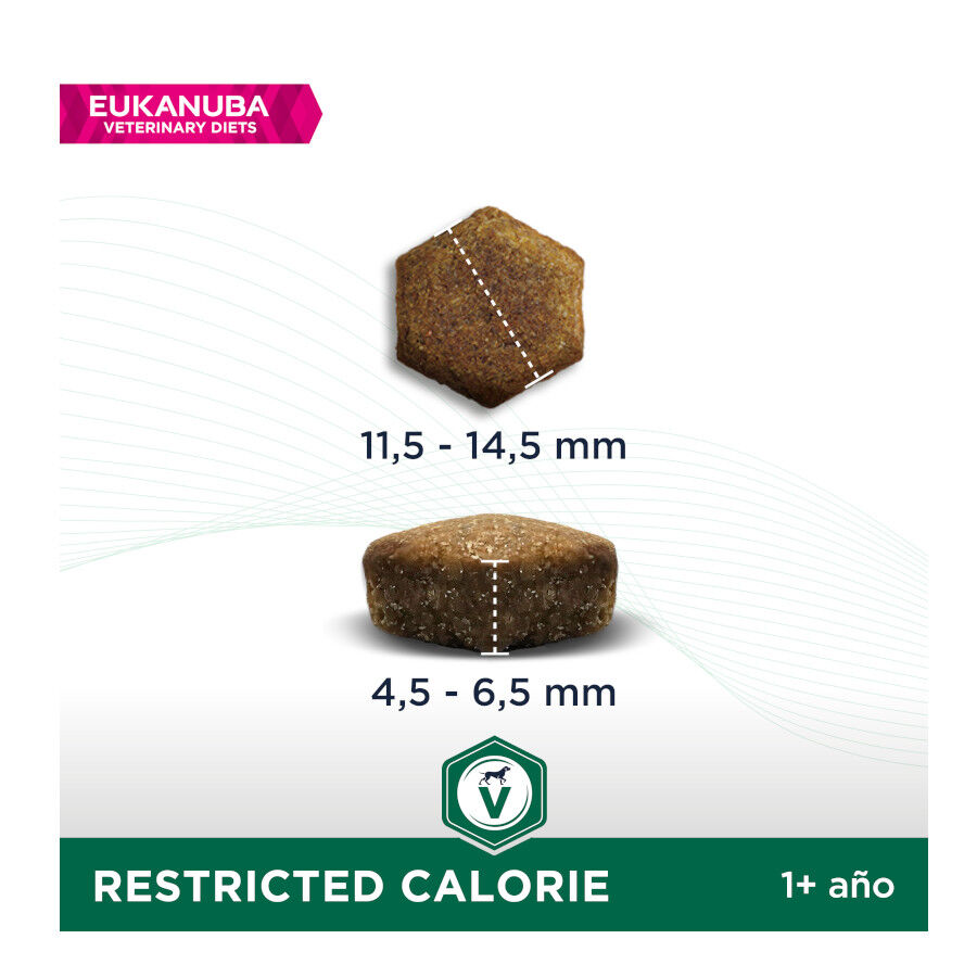 12 kg Eukanuba Veterinary Diets Restricted Calorie ra&ccedil;&atilde;o para c&atilde;es, , large Imagem n&uacute;mero 2