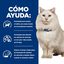 3 kg Hill's Prescription Diet c/d Urinary Stress Peixe Azul Ração para gatos, , large Indicador imagem número 4