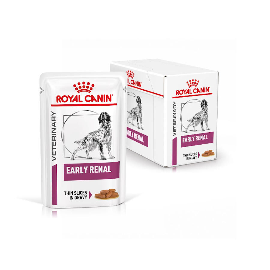 12 saquetas x 100 g Royal Canin Veterinary Early Renal Molho saqueta para c&atilde;es, , large Imagem n&uacute;mero 1