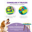 Outward Hound Nina Ottosson Multi Puzzle de Inteligência para cães, , large Indicador imagem número 4
