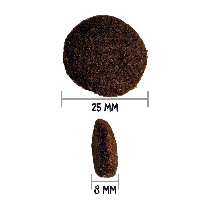 Ownat Ultra Maxi Adult ra&ccedil;&atilde;o para c&atilde;es, , large Imagem n&uacute;mero 4