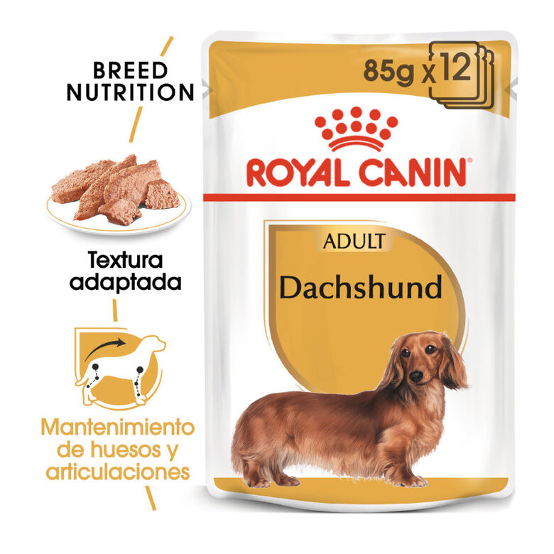 85 g Royal Canin Saquetas de Patê para Teckel,  Imagem número 2 85 g Royal Canin Saquetas de Patê para Teckel, , large Imagem número 2