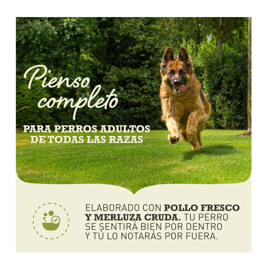 11.4 kg Acana Adult Light y Fit ra&ccedil;&atilde;o para c&atilde;es, , large Imagem n&uacute;mero 2