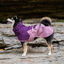 Non-stop Dogwear Capa de Chuva Imperme&aacute;vel Malva para c&atilde;es, , large Indicador imagem n&uacute;mero 2