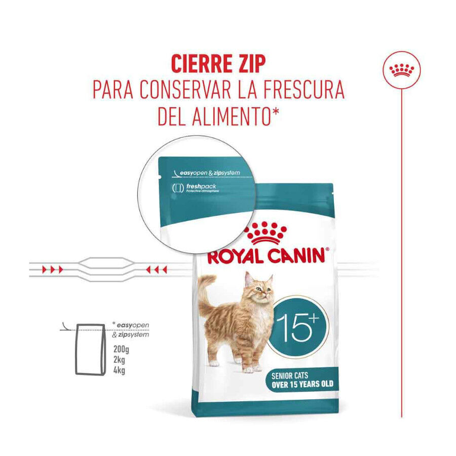 400 g Royal Canin Ageing +15 Ra&ccedil;&atilde;o para gato s&eacute;nior, , large Imagem n&uacute;mero 6