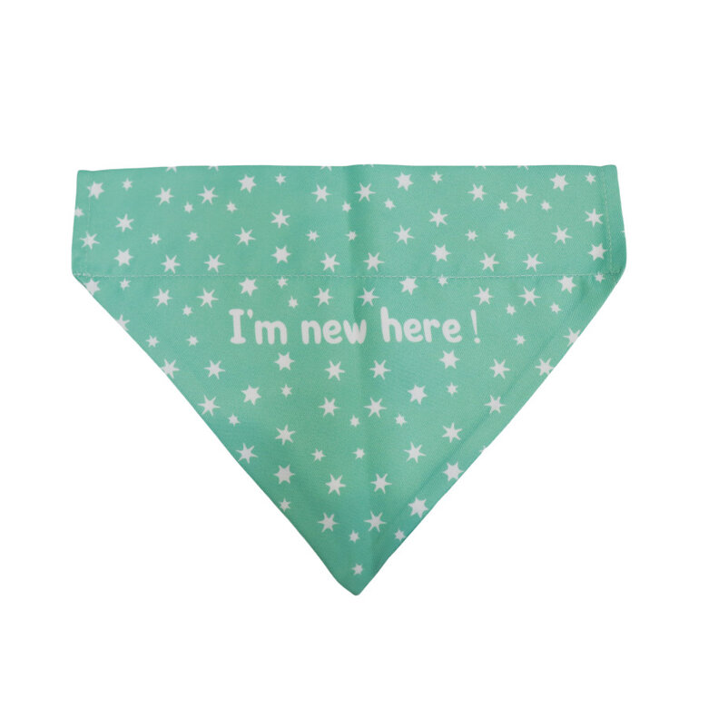 Gotoo Bandana estampada verde para cães,  Imagem número 1 Gotoo Bandana estampada verde para cães, , large Imagem número 1