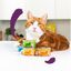 Edgard & Cooper Adult Pedaços de Salmão e Frango com molho em lata para gatos, , large Indicador imagem número 3