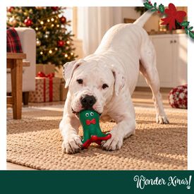 Wonder Christmas Polvo L&aacute;tex Brinquedo para c&atilde;es