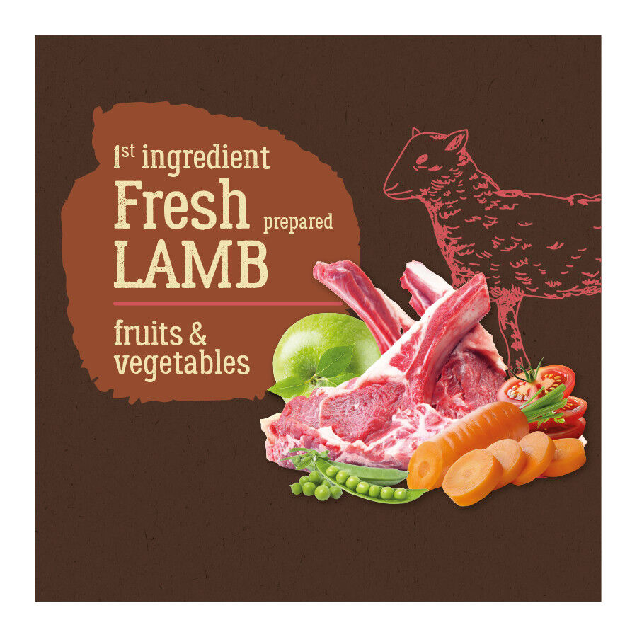 12 kg True Origins Pure Grain Free Adult Ra&ccedil;&atilde;o de cordeiro para c&atilde;es, , large Imagem n&uacute;mero 2