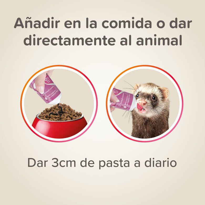 Beaphar Pasta de Malta para hurones4 Imagem n&uacute;mero 4