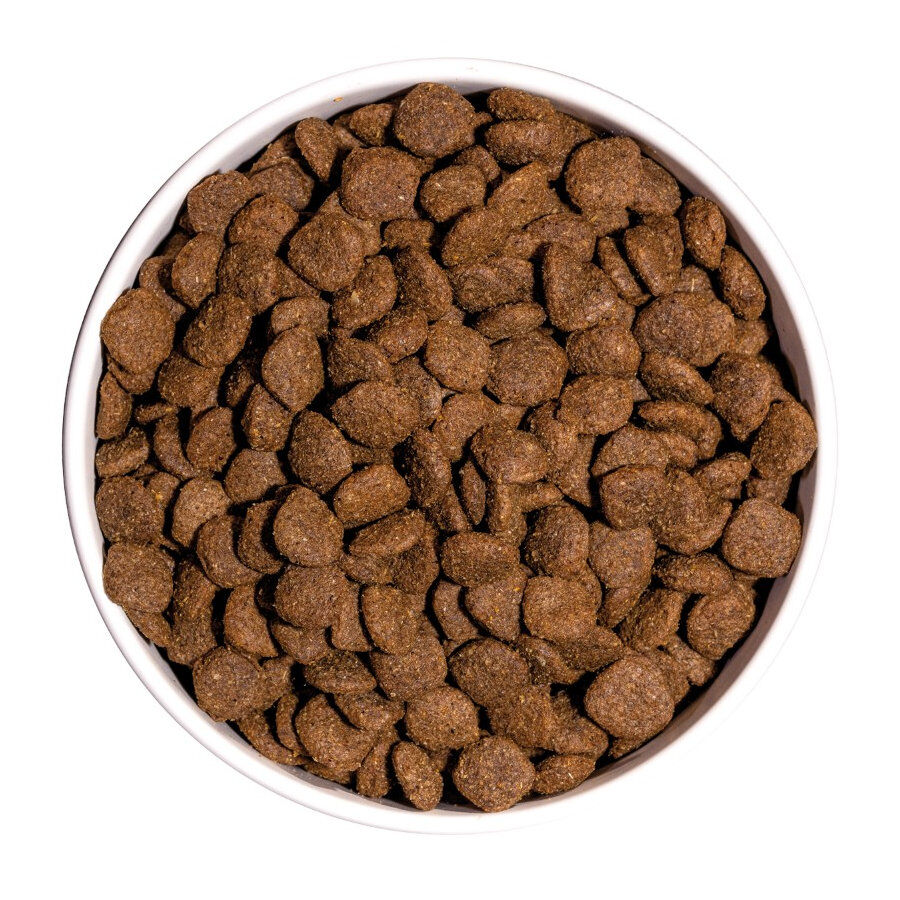 Ownat Ultra Medium Sterilized ra&ccedil;&atilde;o para c&atilde;es, , large Imagem n&uacute;mero 4