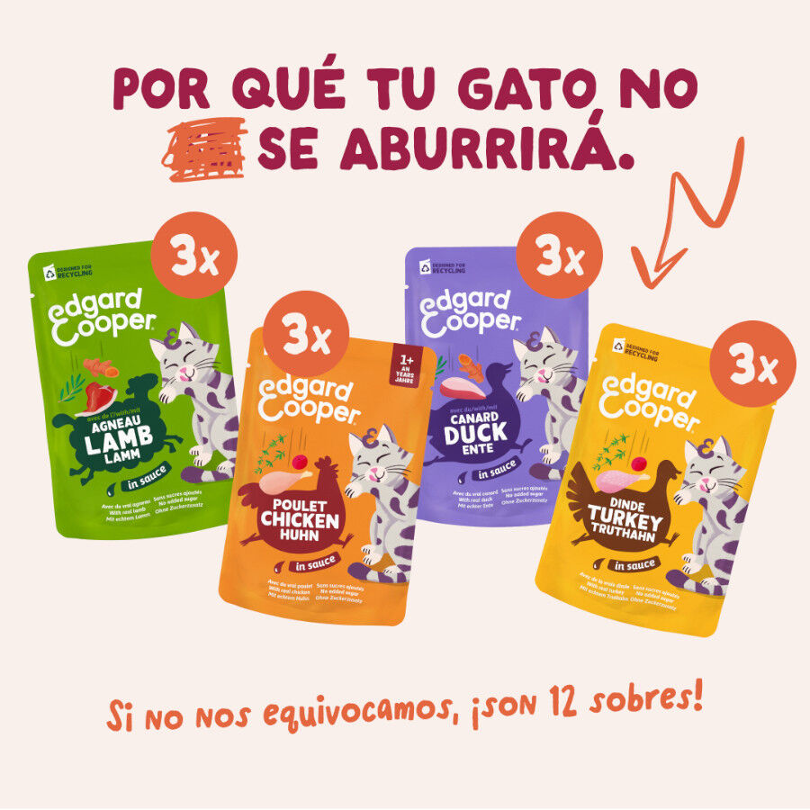 12 x 85 g Edgard & Cooper Feasts from the farm em molho em saqueta para gatos, , large Imagem n&uacute;mero 2