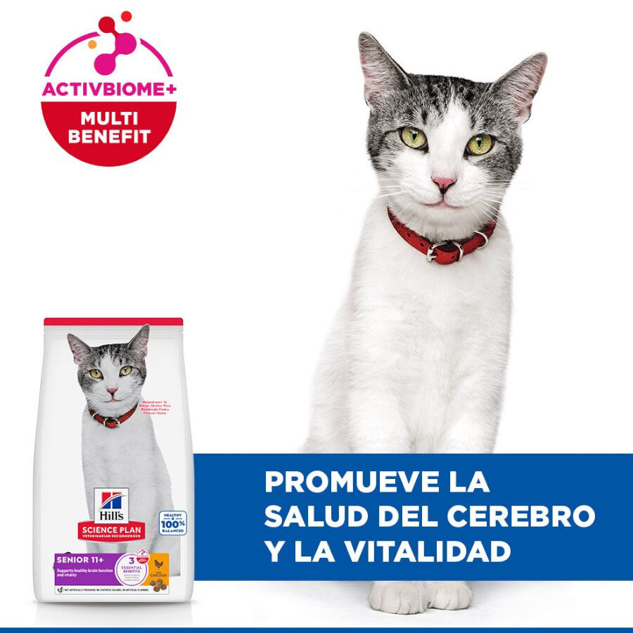 1.5 kg Hill's Senior Frango ra&ccedil;&atilde;o para gatos, , large Imagem n&uacute;mero 4