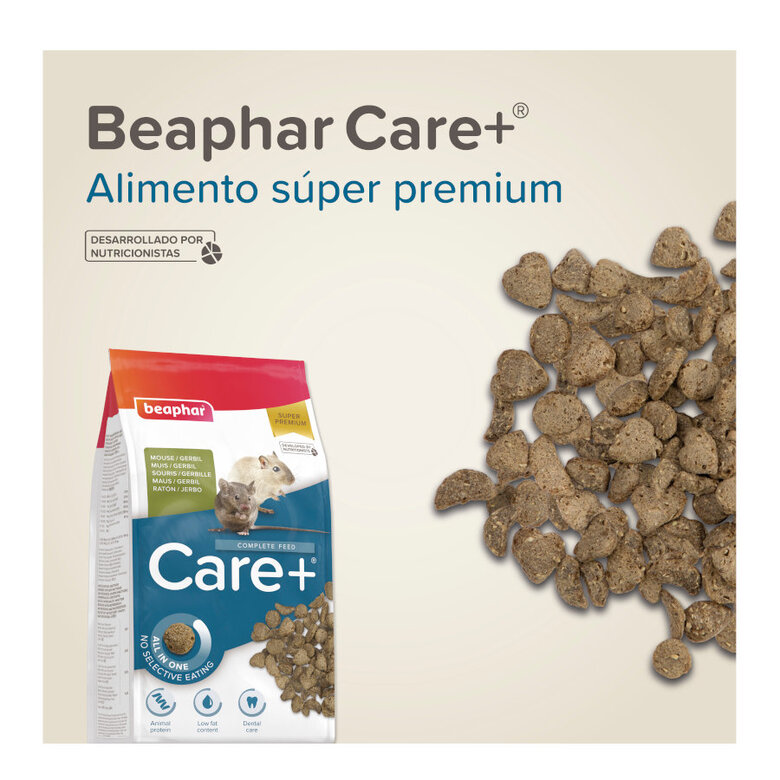 Beaphar Care+ Alimento para ratos e gerbilos,  Imagem número 8 Beaphar Care+ Alimento para ratos e gerbilos, , large Imagem número 8