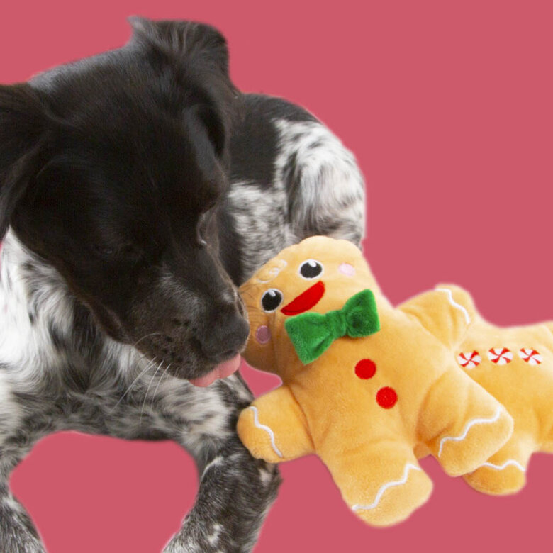 Wonder Christmas Boneco de Gengibre peluche de Natal para cães - Pack 2,  Imagem número 3 Wonder Christmas Boneco de Gengibre peluche de Natal para cães - Pack 2, , large Imagem número 3