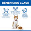 85 g Hill's Science Plan Sterilized Young Adult Salm&atilde;o saquetas para gatos, , large Indicador imagem n&uacute;mero 5