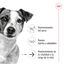 12 latas x 195 g Royal Canin Mini 8+ Ageing lata para cães Pack poupança!, , large Indicador imagem número 4