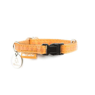 MacLeather Classic Coleira Castanha para cães
