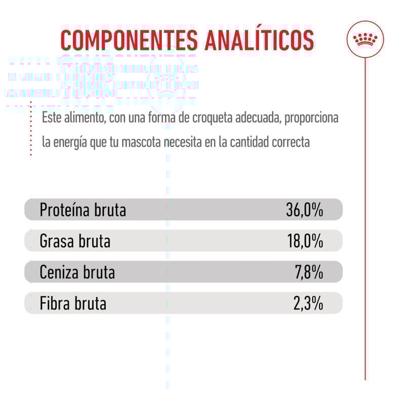 10 kg Royal Canin Kitten ração para gatos,  Imagem número 7 10 kg Royal Canin Kitten ração para gatos, , large Imagem número 7
