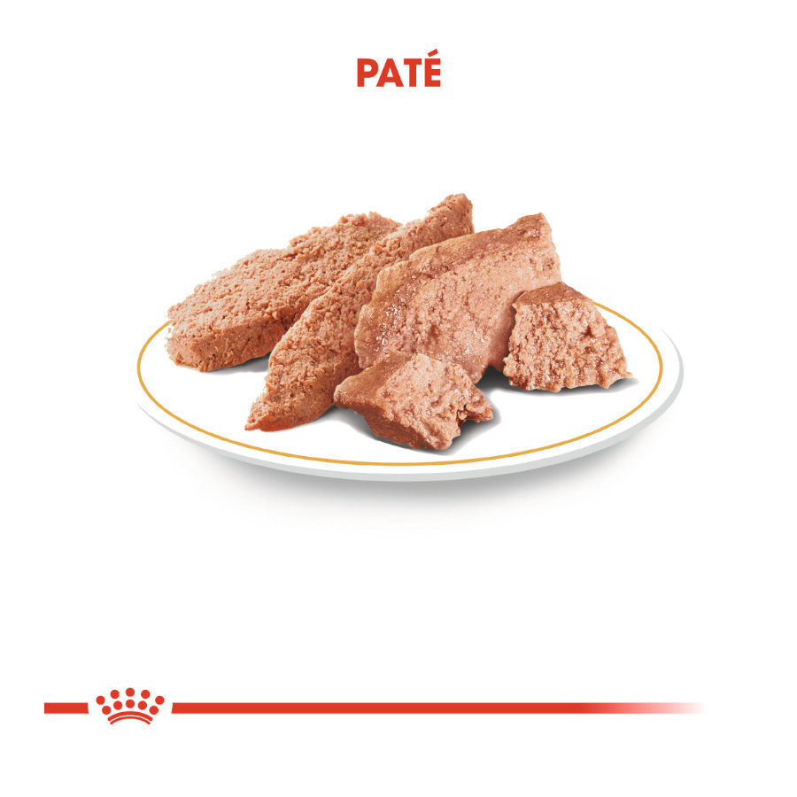 85 g Royal Canin Saquetas de Pat&ecirc; para Teckel, , large Imagem n&uacute;mero 5