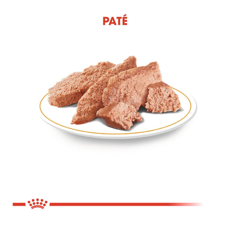 85 g Royal Canin Saquetas de Patê para Teckel,  Imagem número 5 85 g Royal Canin Saquetas de Patê para Teckel, , large Imagem número 5