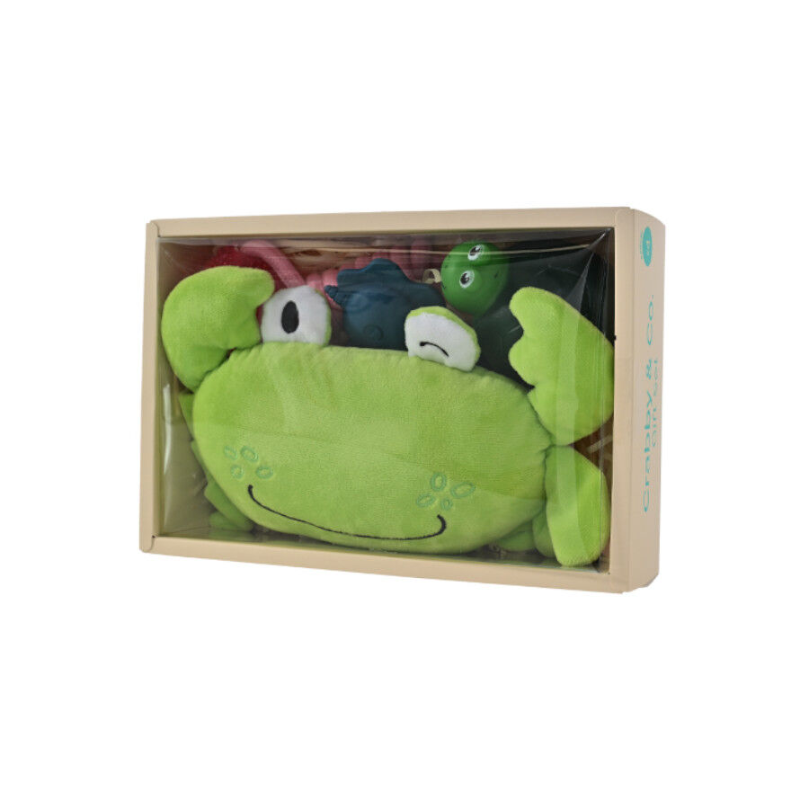 Freedog Blue Breeze Plau Set Brinquedos para c&atilde;es, , large Imagem n&uacute;mero 1