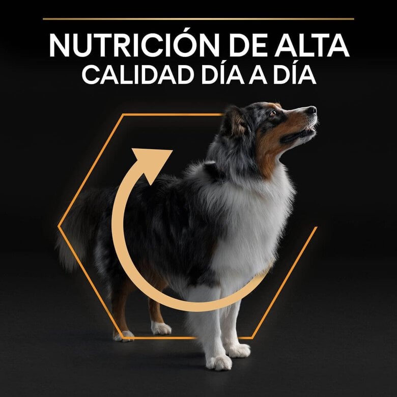 14 kg Pro Plan Medium Adult Frango ração para cães,  Imagem número 8 14 kg Pro Plan Medium Adult Frango ração para cães, , large Imagem número 8