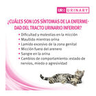 Purina Pro Plan Veterinary Diets UR Salmão saqueta para gatos , , large image number null