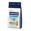 Advance Active Defense Mini Sensitive Salm&atilde;o e Arroz ra&ccedil;&atilde;o para c&atilde;es, , large Indicador imagem n&uacute;mero 1