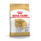 Royal Canin Adult Jack Russell Terrier ração para cães, , large image number null