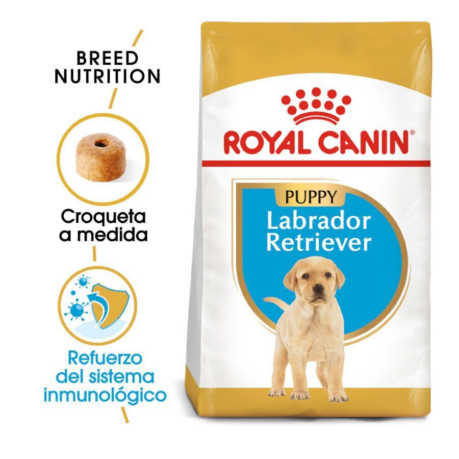 12 kg Royal Canin Puppy Labrador Retriever ra&ccedil;&atilde;o para c&atilde;es, , large Imagem n&uacute;mero 2