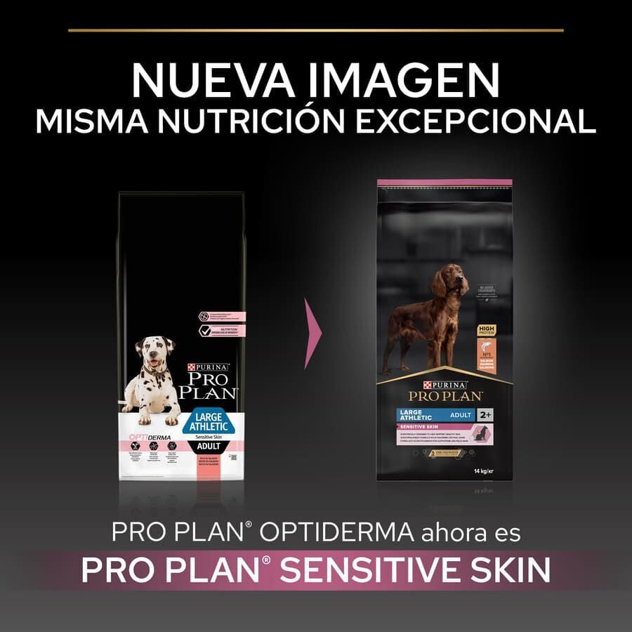 14 kg Pro Plan Large Athletic Adult Salm&atilde;o Peles Sens&iacute;veis ra&ccedil;&atilde;o para c&atilde;es, , large Imagem n&uacute;mero 2